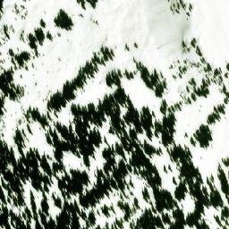 Satellite imagery of McGill Pass, CA