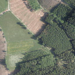 Satellite imagery of Born, DE