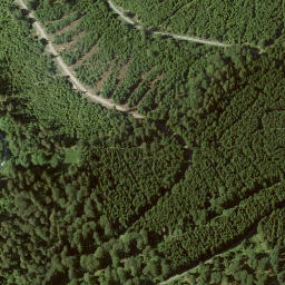 Satellite imagery of Hohe Pön, DE
