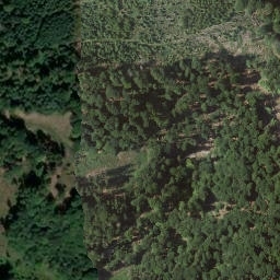 Satellite imagery of Langenscheid, DE