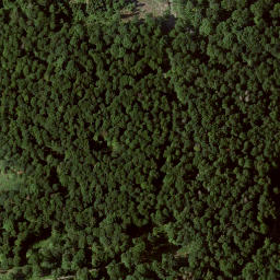 Satellite imagery of Saukopf, DE