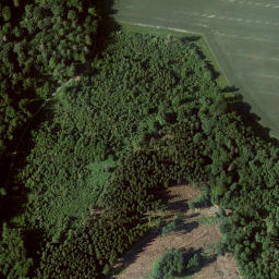 Satellite imagery of Kleiner Schönberg, DE
