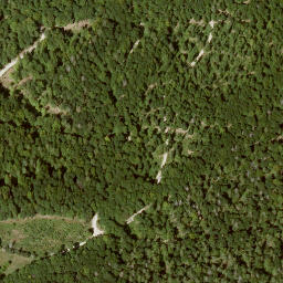 Satellite imagery of Krückenkopf, DE