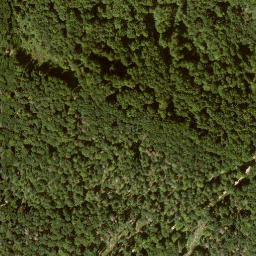 Satellite imagery of Krückenkopf, DE