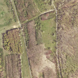 Satellite imagery of Janushügel, DE