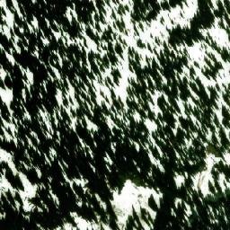 Satellite imagery of McGill Pass, CA