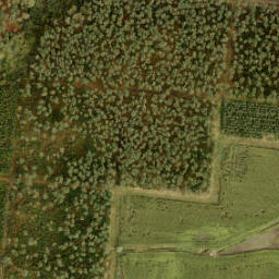 Satellite imagery of 196, NL