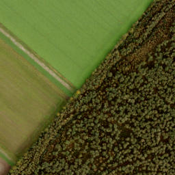 Satellite imagery of 195, NL