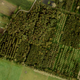 Satellite imagery of boundary_stone, NL