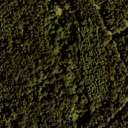 Satellite imagery of 428-A, NL