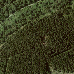 Satellite imagery of Hohe Pön, DE