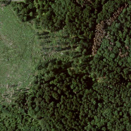 Satellite imagery of Saukopf, DE