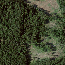 Satellite imagery of Kleiner Schönberg, DE