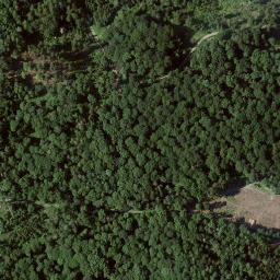 Satellite imagery of Kleiner Schönberg, DE