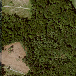 Satellite imagery of Eichberg, DE