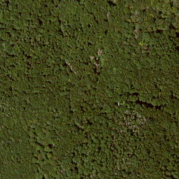 Satellite imagery of Baunsberg, DE