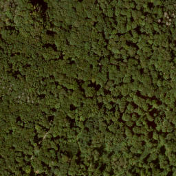Satellite imagery of Baunsberg, DE