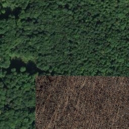 Satellite imagery of Schwengelberg, DE
