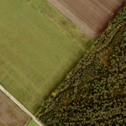 Satellite imagery of 194, NL