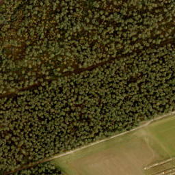 Satellite imagery of 194, NL