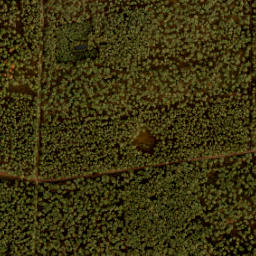 Satellite imagery of 191, NL