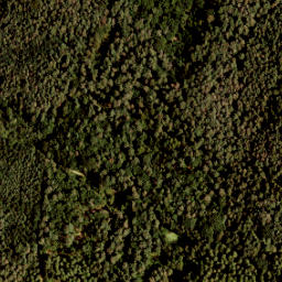 Satellite imagery of 427-A, NL