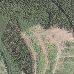 Satellite imagery of Waldeshöhe, DE