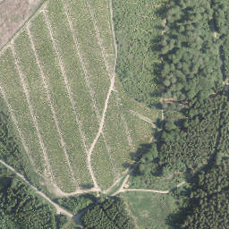Satellite imagery of Sahlenberg, DE