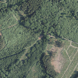 Satellite imagery of Gesenberg, DE