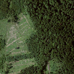 Satellite imagery of Kleiner Schönberg, DE
