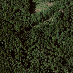 Satellite imagery of Kleiner Schönberg, DE