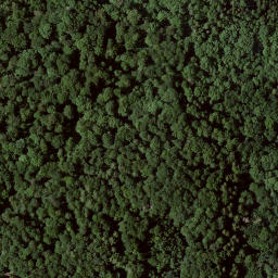 Satellite imagery of Kleiner Schönberg, DE