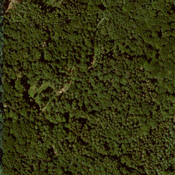 Satellite imagery of Eichberg, DE