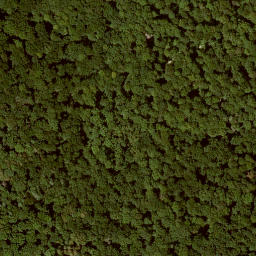 Satellite imagery of Eichberg, DE