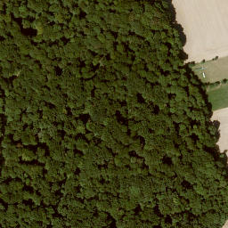 Satellite imagery of Eichberg, DE