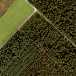 Satellite imagery of 194, NL