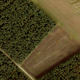 Satellite imagery of 194, NL