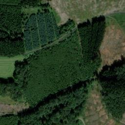 Satellite imagery of Blackshahnskopf, DE