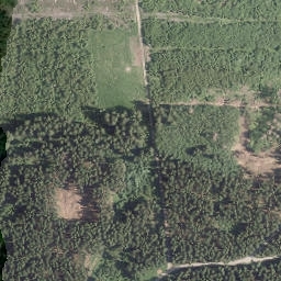 Satellite imagery of Waldeshöhe, DE