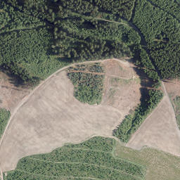 Satellite imagery of Ehren-Berg, DE