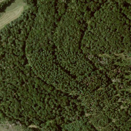 Satellite imagery of Roth, DE
