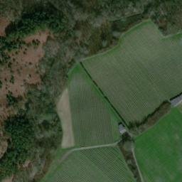 Satellite imagery of Selling Perry Wood, GB