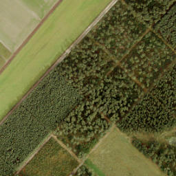 Satellite imagery of 194, NL