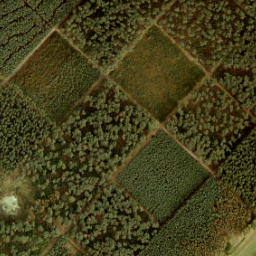 Satellite imagery of 194, NL