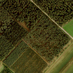 Satellite imagery of 194, NL