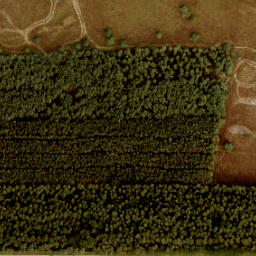 Satellite imagery of 191, NL