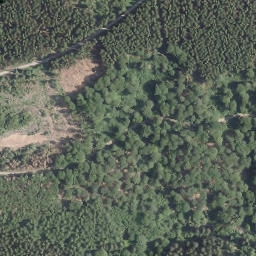 Satellite imagery of Waldeshöhe, DE