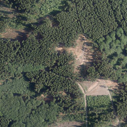 Satellite imagery of Ringelskopf, DE