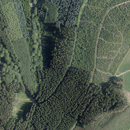 Satellite imagery of Ringelskopf, DE