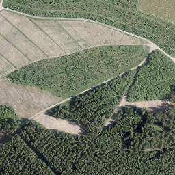Satellite imagery of Ehren-Berg, DE